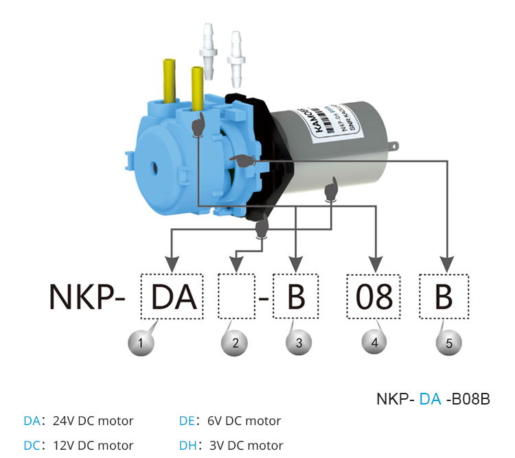2026 nieuwe NKP 6V 12V 24V DC  - Mini Peristaltic Pump 12V recensie en prijs