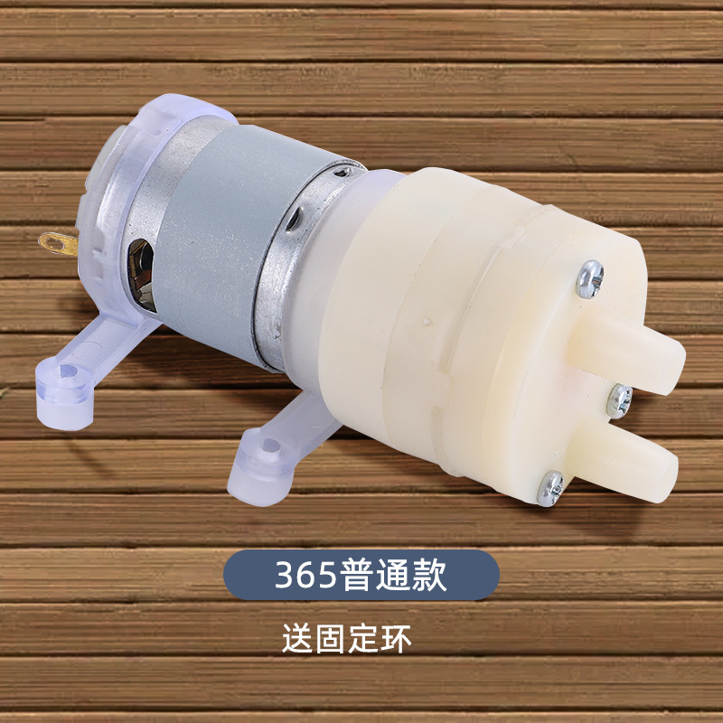 R365 Diafragma Waterpomp DC 12 - Mini Peristaltic Pump 12V recensie en prijs